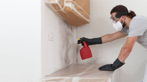 Professional Mold Removal technician working in Hudson, MA