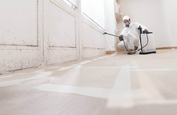24/7 Emergency Mold Removal experts in Hudson, MA