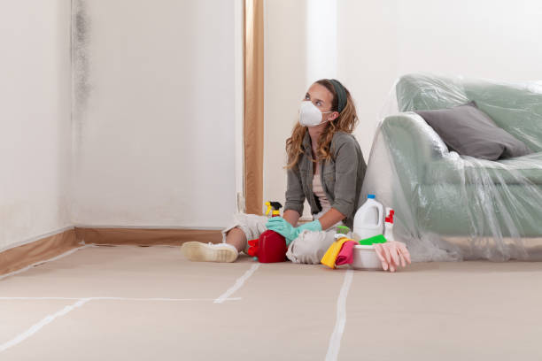 Reliable Mold Removal contractor in Hudson, MA by 24 Hour Mold Removal